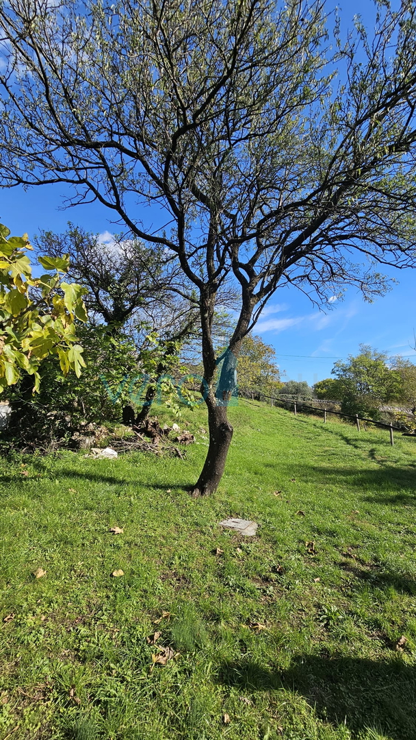 Crikvenica, Bribir - Anwesen mit 2 Häusern und einem Grundstück von 1778 m², Verkauf