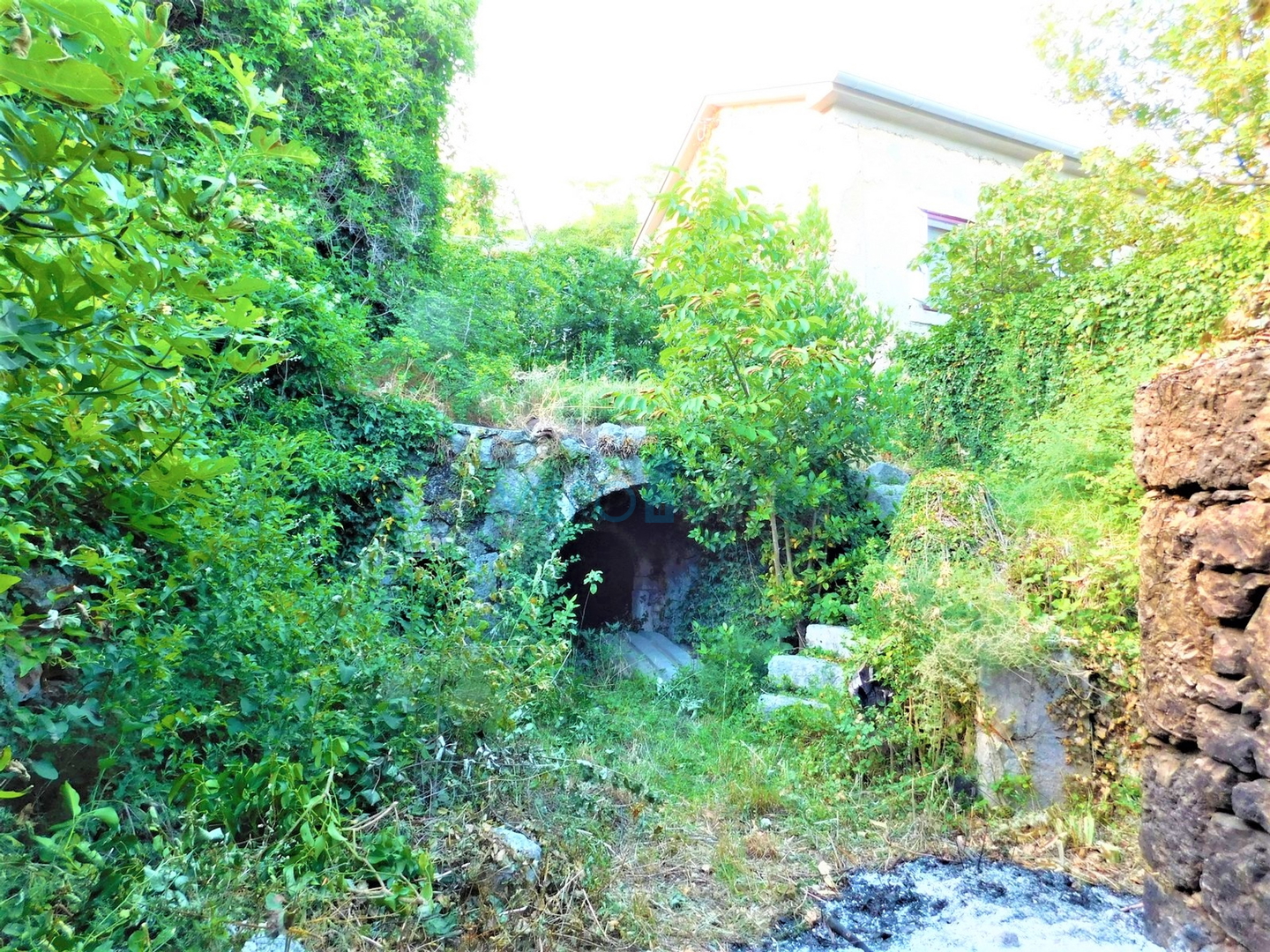 Crikvenica, Bribir - Anwesen mit 2 Häusern und einem Grundstück von 1778 m², Verkauf