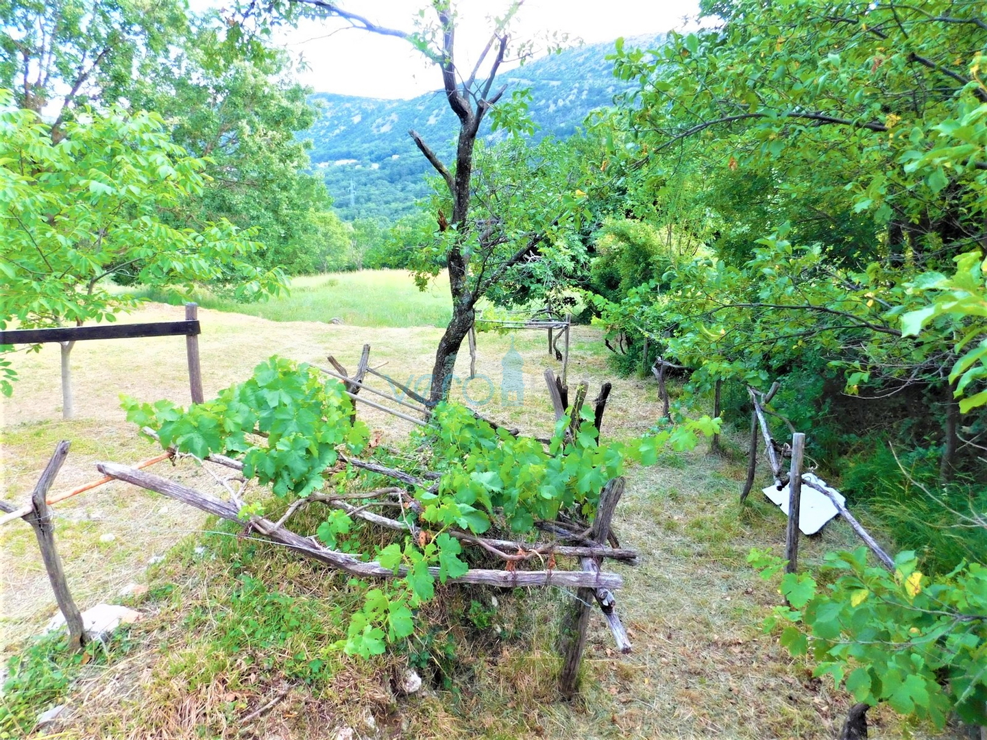 Crikvenica, Bribir - Anwesen mit 2 Häusern und einem Grundstück von 1778 m², Verkauf