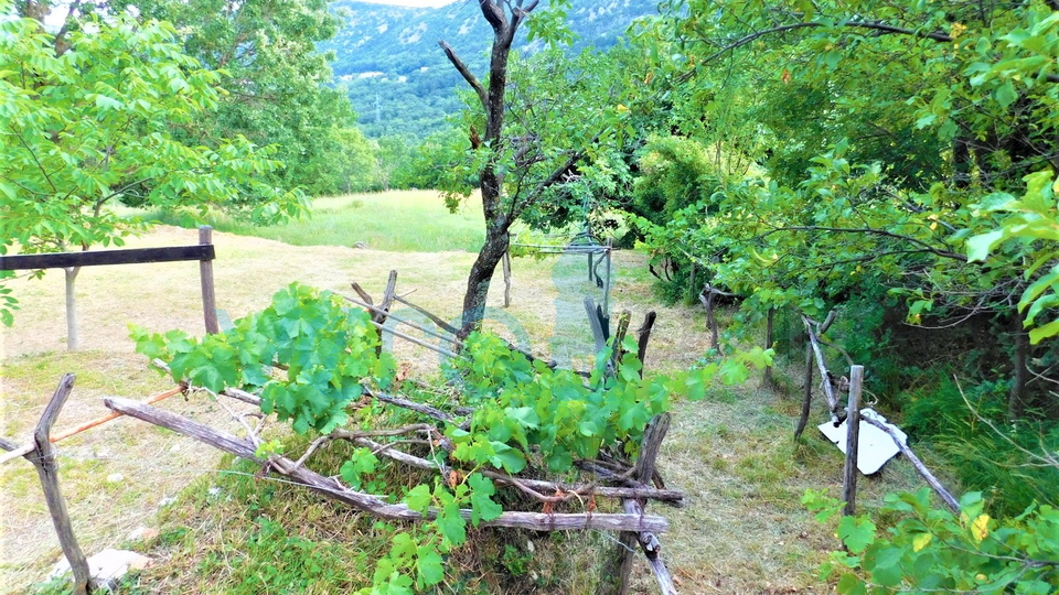 Crikvenica, Bribir- imanje sa 2 kuće i parcelom od 1778m2, prodaja