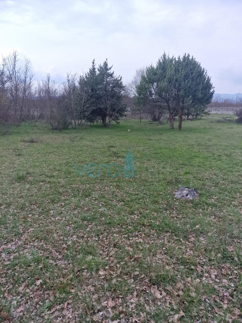 Krk okolica,  2651m2 poljoprivredno zemljište, potencijal za maslinik, prodaja