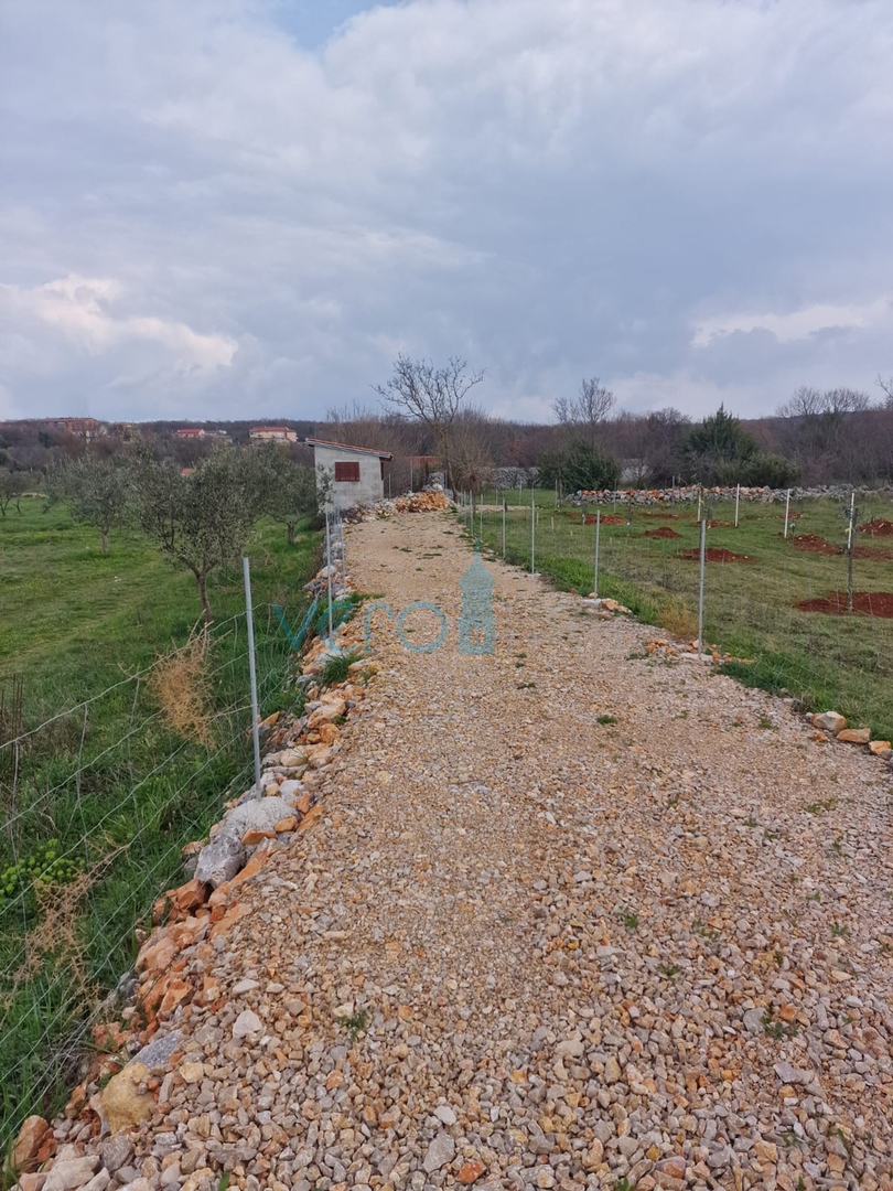 Krk okolica,  2651m2 poljoprivredno zemljište, potencijal za maslinik, prodaja