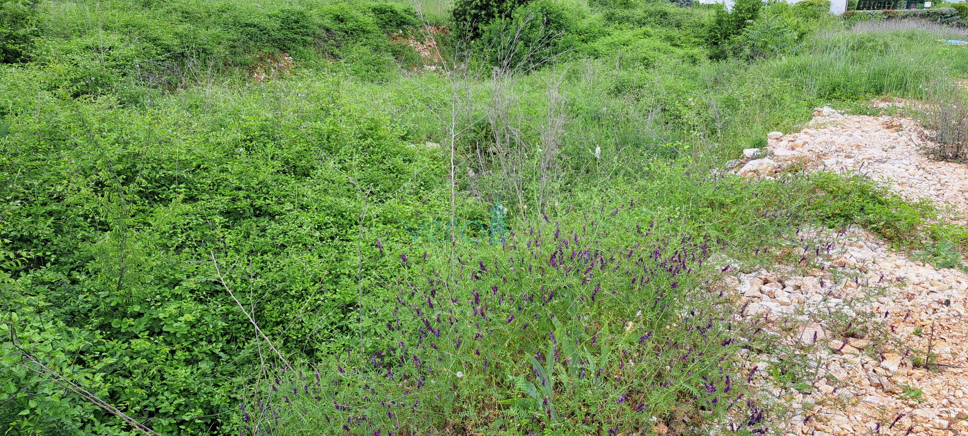 Malinska, island of Krk, building land 958 m2 in an exclusive location, view, for sale