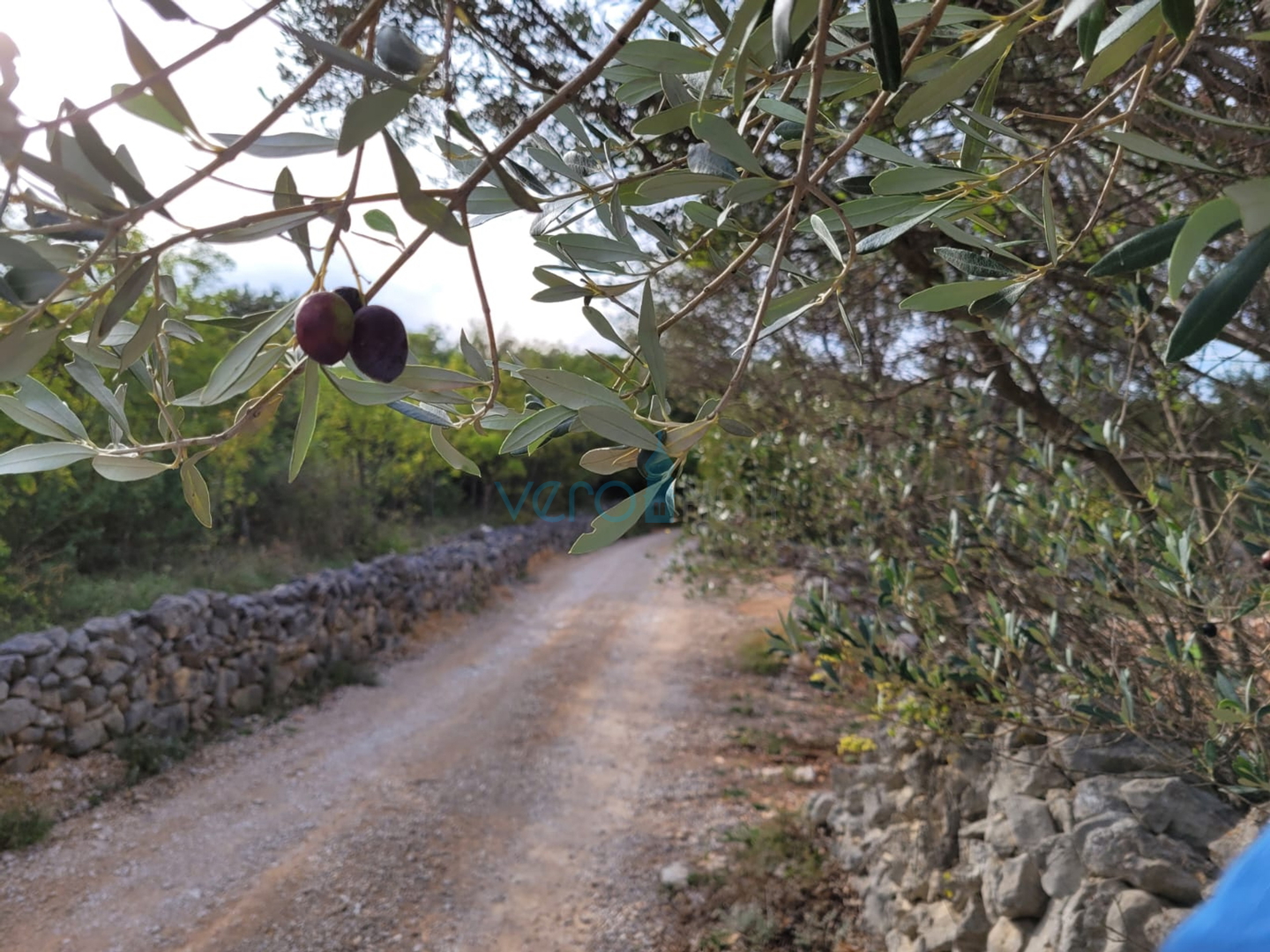Dobrinj, Šilo, Poljoprivredna zemljišta u blizini mora s pristupnim putom, prodaja