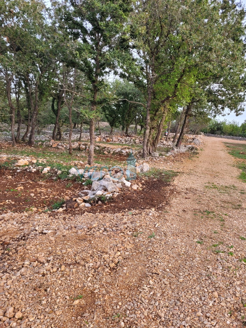 Dobrinj, Šilo, Poljoprivredna zemljišta u blizini mora s pristupnim putom, prodaja