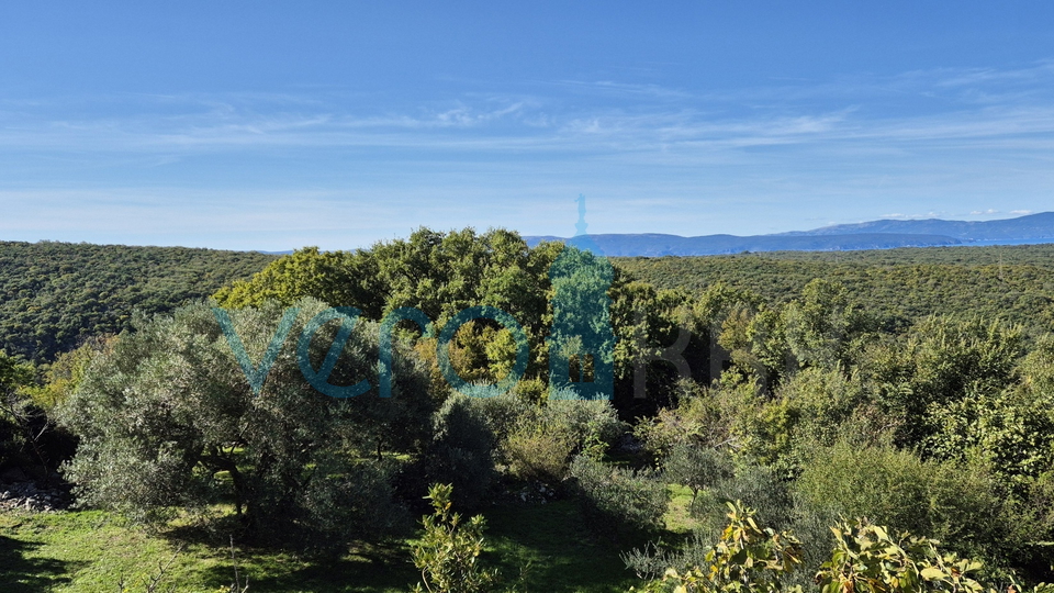 Dobrinj, Insel Krk, freistehendes Steinhaus, Meerblick, Terrasse, Taverne, zu verkaufen