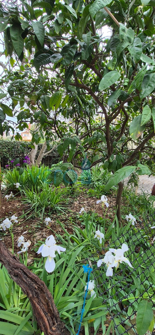 Grad Krk, otok Krk, dvojna kuća sa 3 apartmana, pogled, okućnica, prodaja