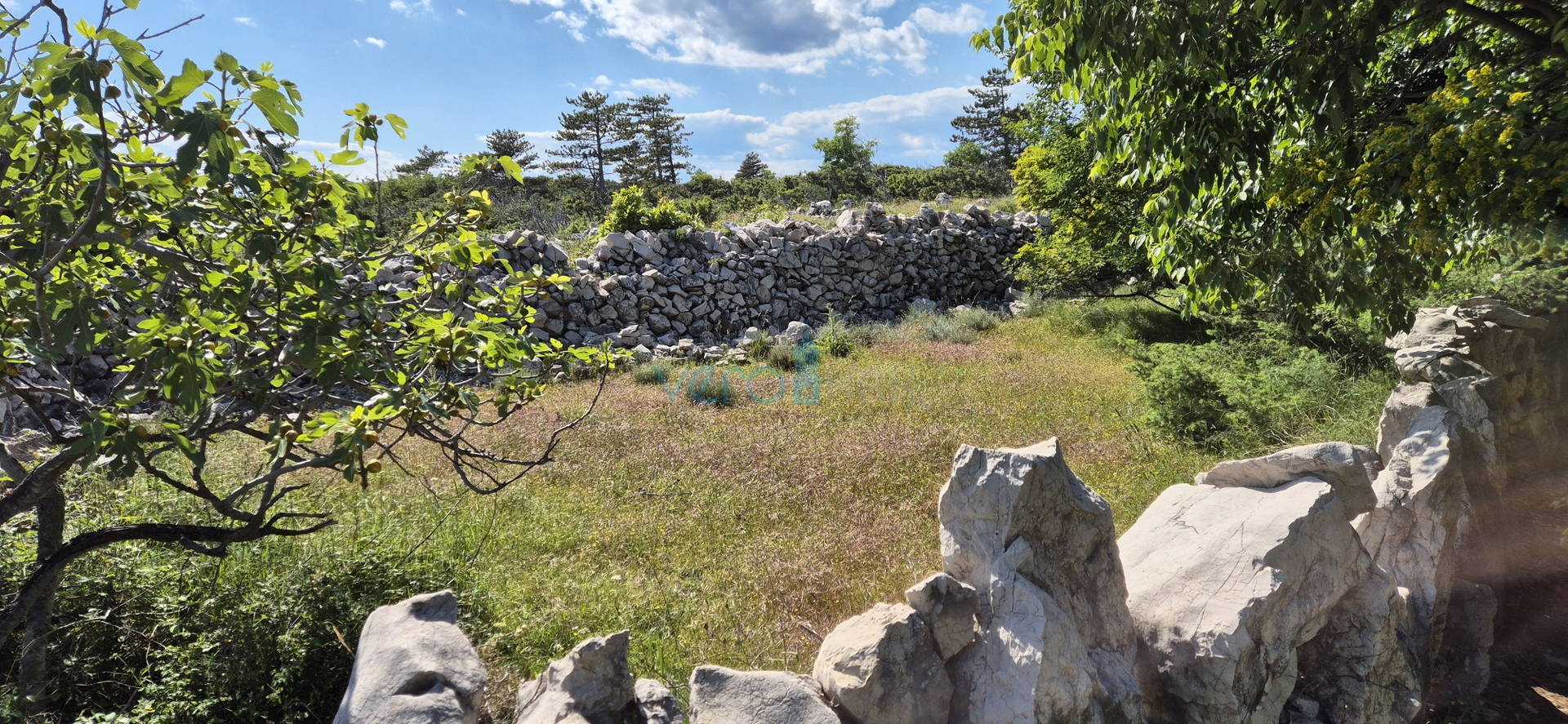 Uvala Soline, okolica, kamena prizemnica, okućnica, mirna lokacija, pogled, prodaja