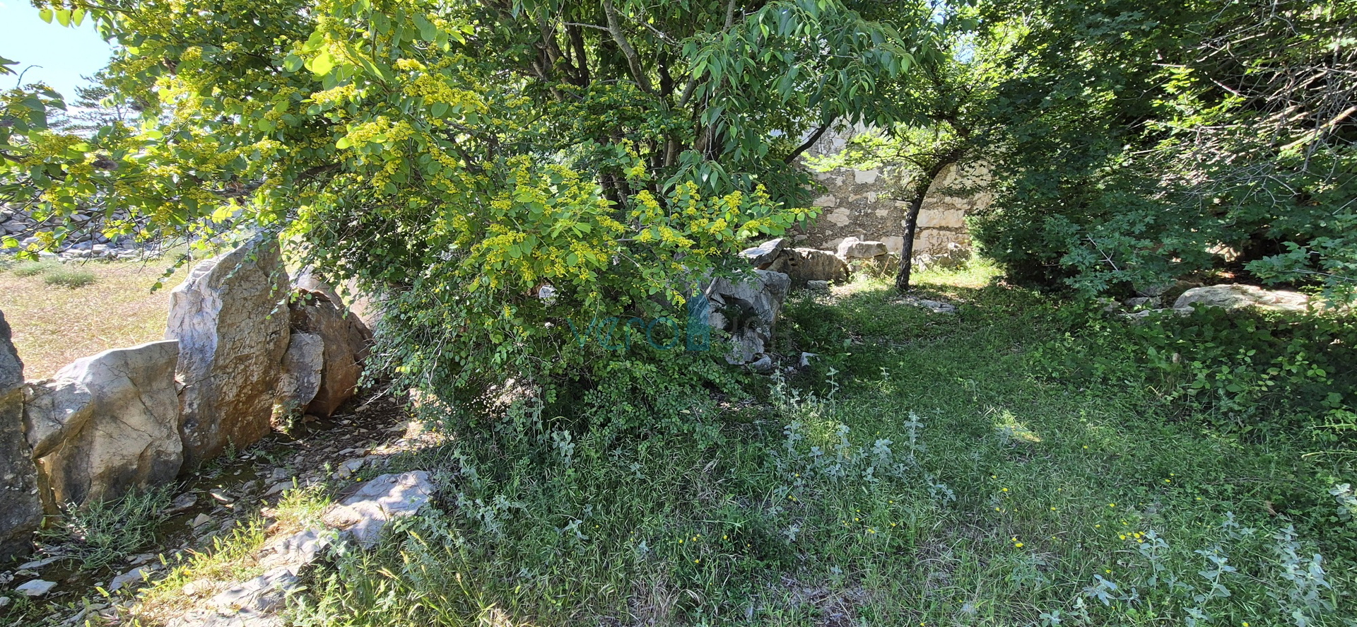 Uvala Soline, okolica, kamena prizemnica, okućnica, mirna lokacija, pogled, prodaja