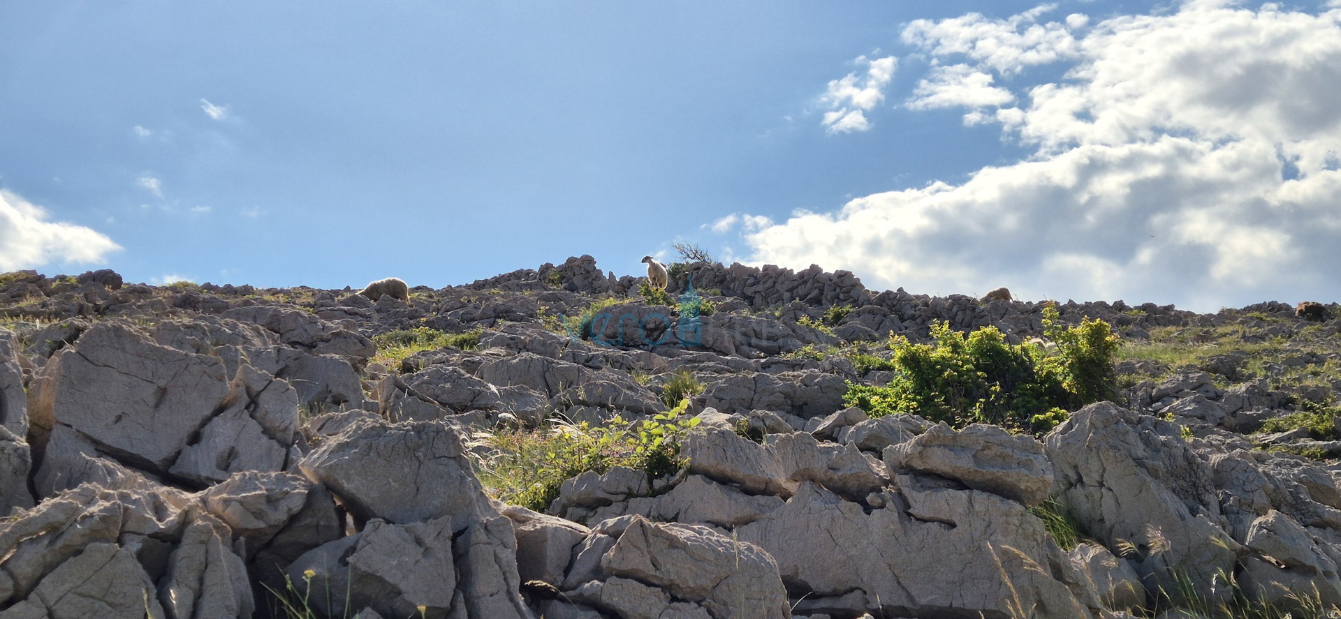 Uvala Soline, okolica, kamena prizemnica, okućnica, mirna lokacija, pogled, prodaja