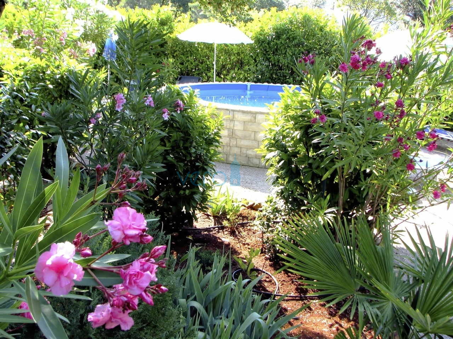 Otok Krk, okolica, lijepa kuća sa bazenom i uređenom okućnicom