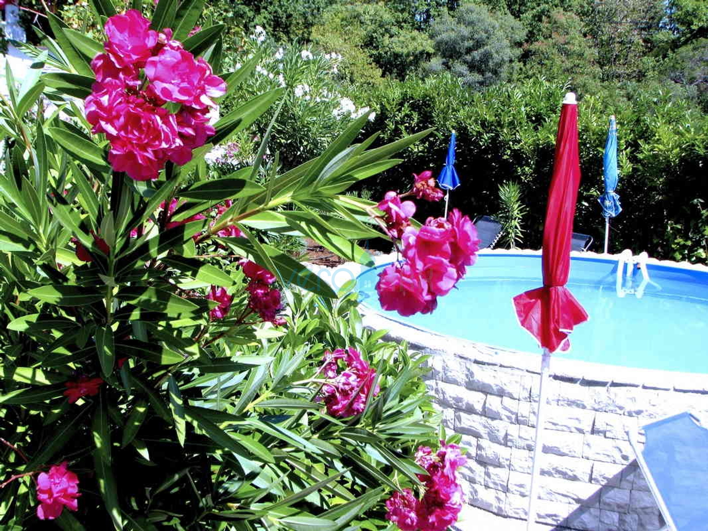 Otok Krk, okolica, lijepa kuća sa bazenom i uređenom okućnicom