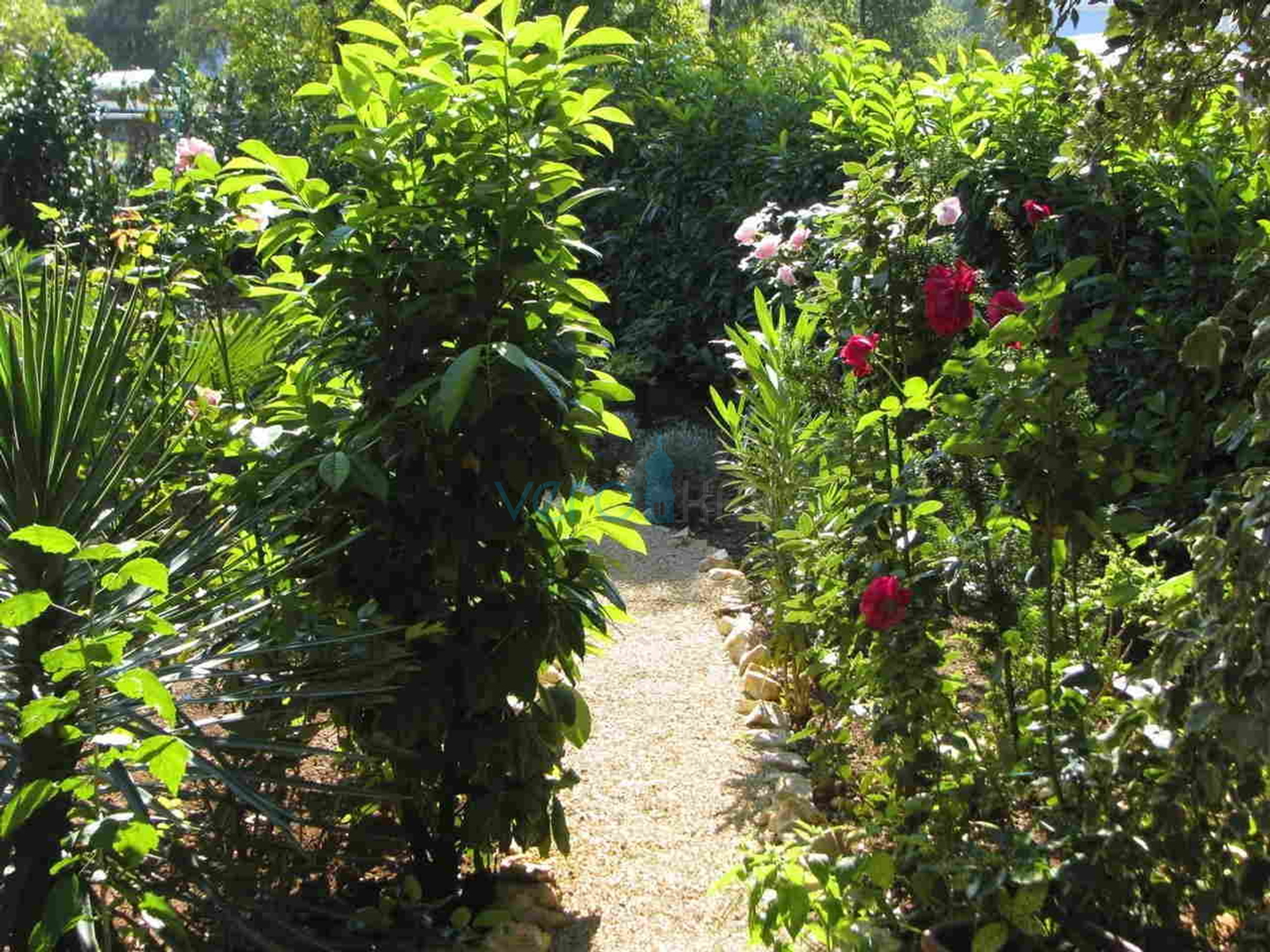 Otok Krk, okolica, lijepa kuća sa bazenom i uređenom okućnicom