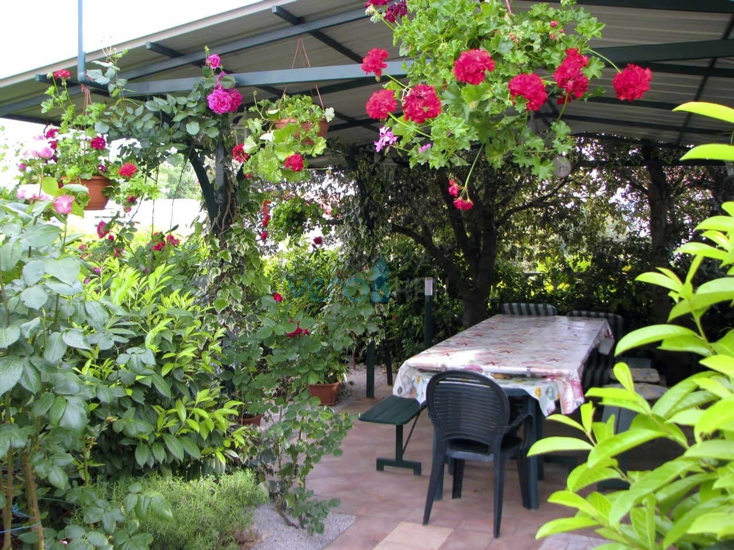 Otok Krk, okolica, lijepa kuća sa bazenom i uređenom okućnicom