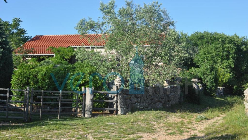 Dobrinj, Umgebung, freistehendes Steinhaus mit Pool und Garten