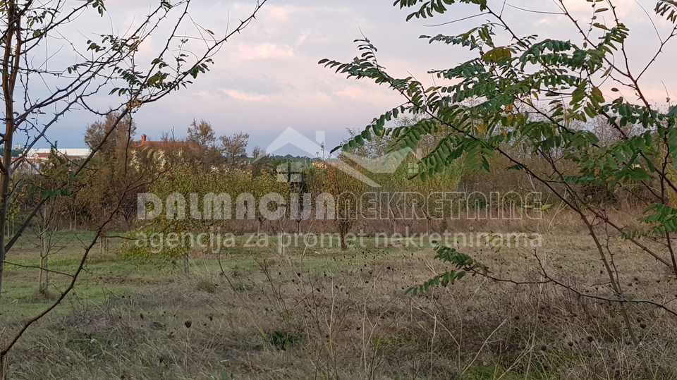 Zemljišče, 599 m2, Prodaja, Vrsi