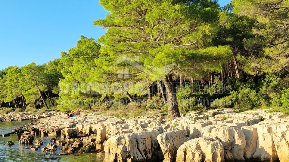 Biograd, Pakoštane, građevinsko zemljište, 1000 m2