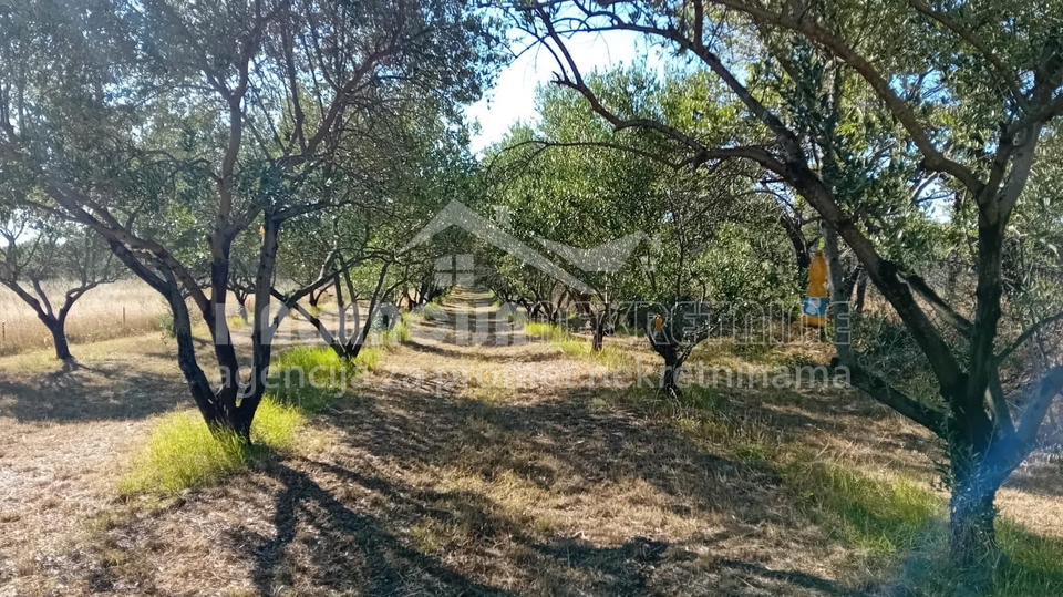 Land&comma; 2183 m2&comma; For Sale&comma; Zemunik Donji
