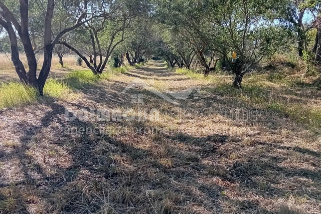 Land, 2183 m2, For Sale, Zemunik Donji