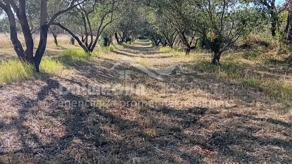 Land&comma; 2183 m2&comma; For Sale&comma; Zemunik Donji
