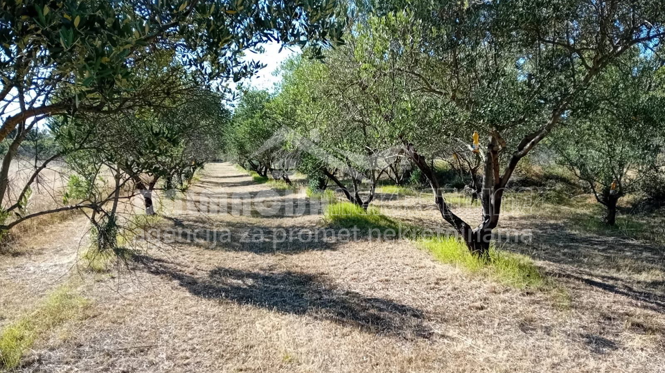 Land&comma; 2183 m2&comma; For Sale&comma; Zemunik Donji