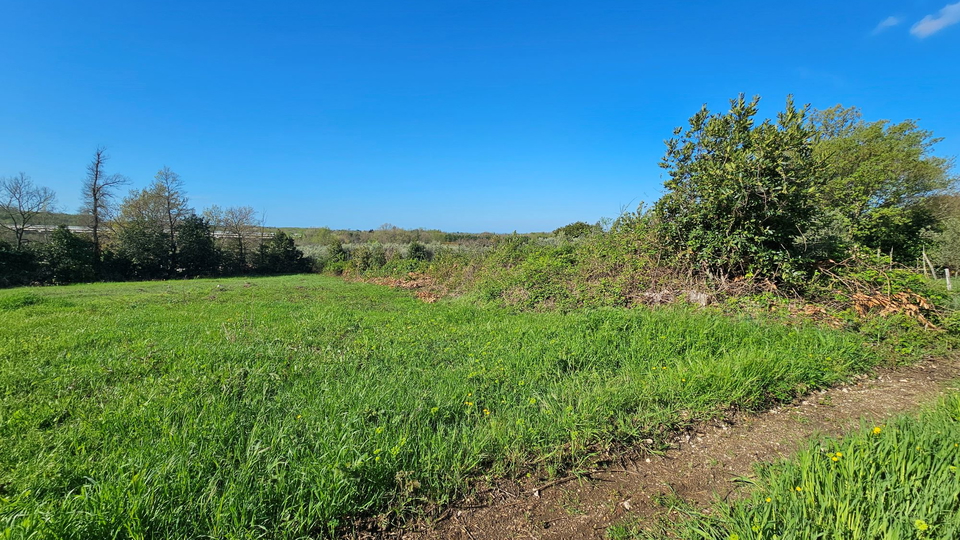 VERKAUFT Wohnbaugrundstück mit Meerblick in Brtonigla