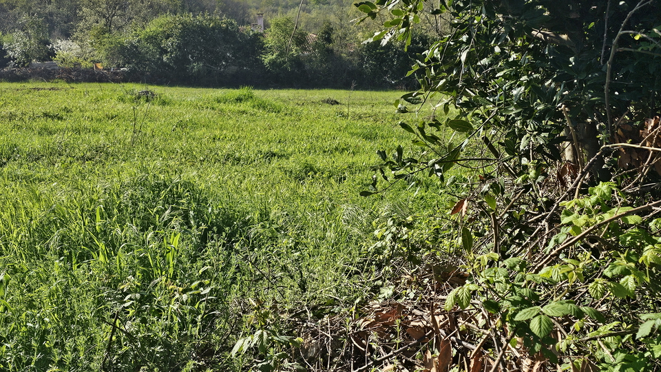 VERKAUFT Wohnbaugrundstück mit Meerblick in Brtonigla