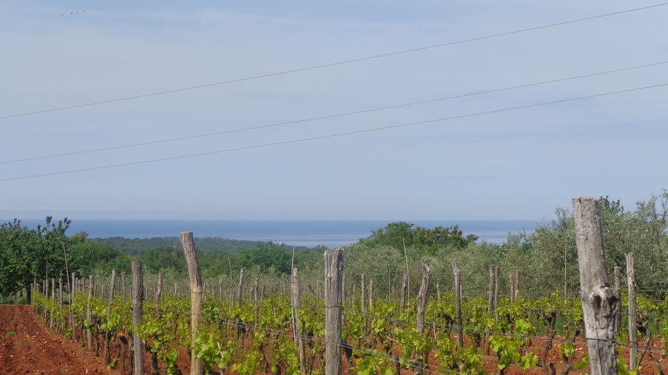 Agricultural land with the  sea view