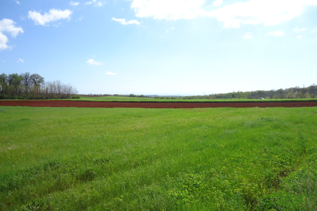 Agricultural land with the  sea view