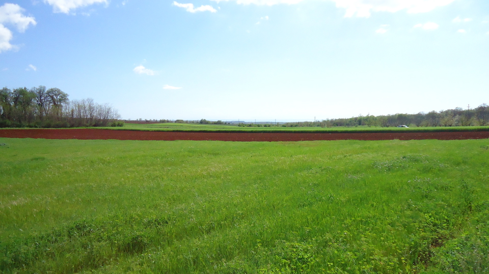 Agricultural land with the  sea view