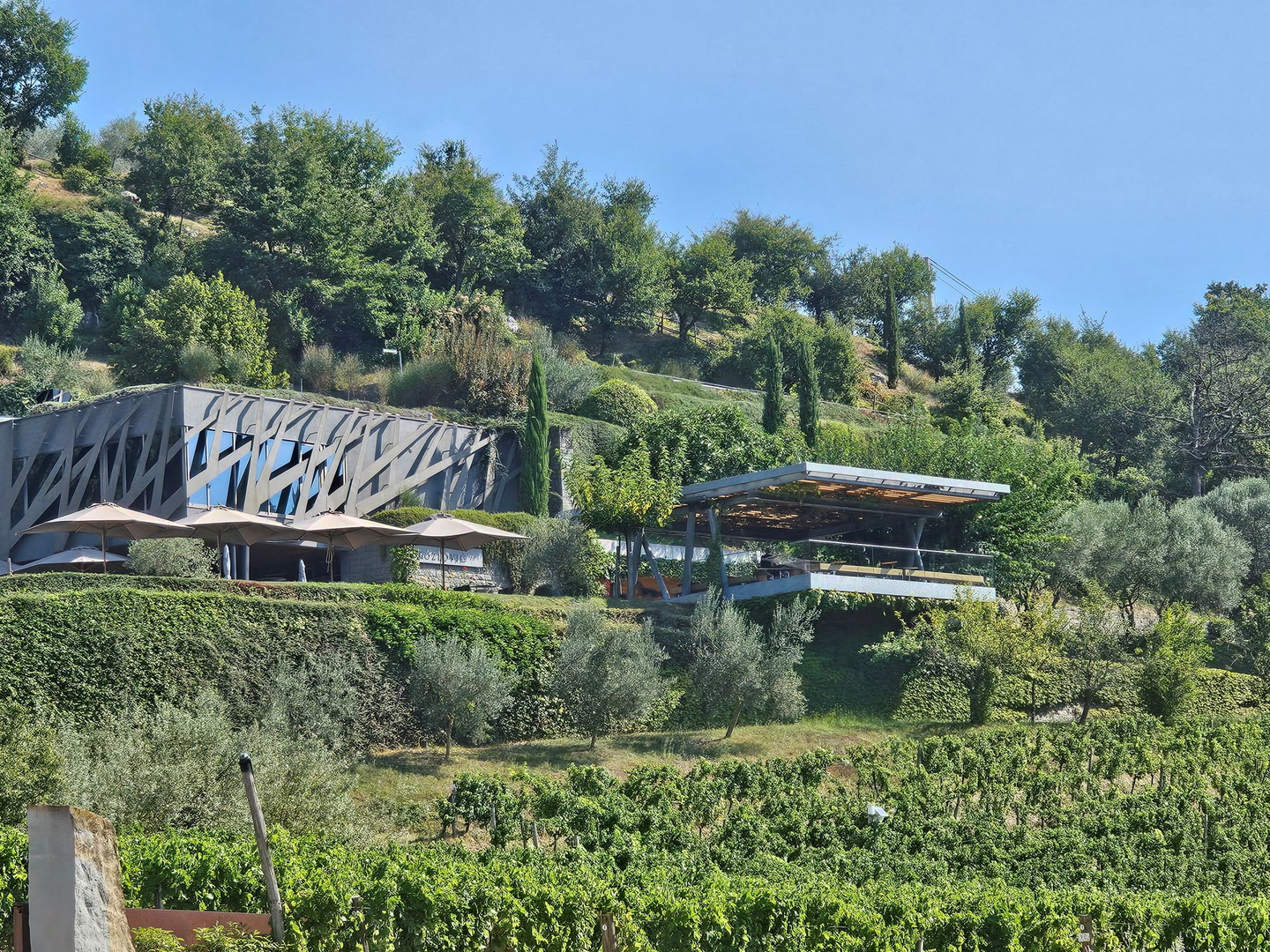 Simpatična kamena kuća u okolici Momjana s otvorenim pogledom