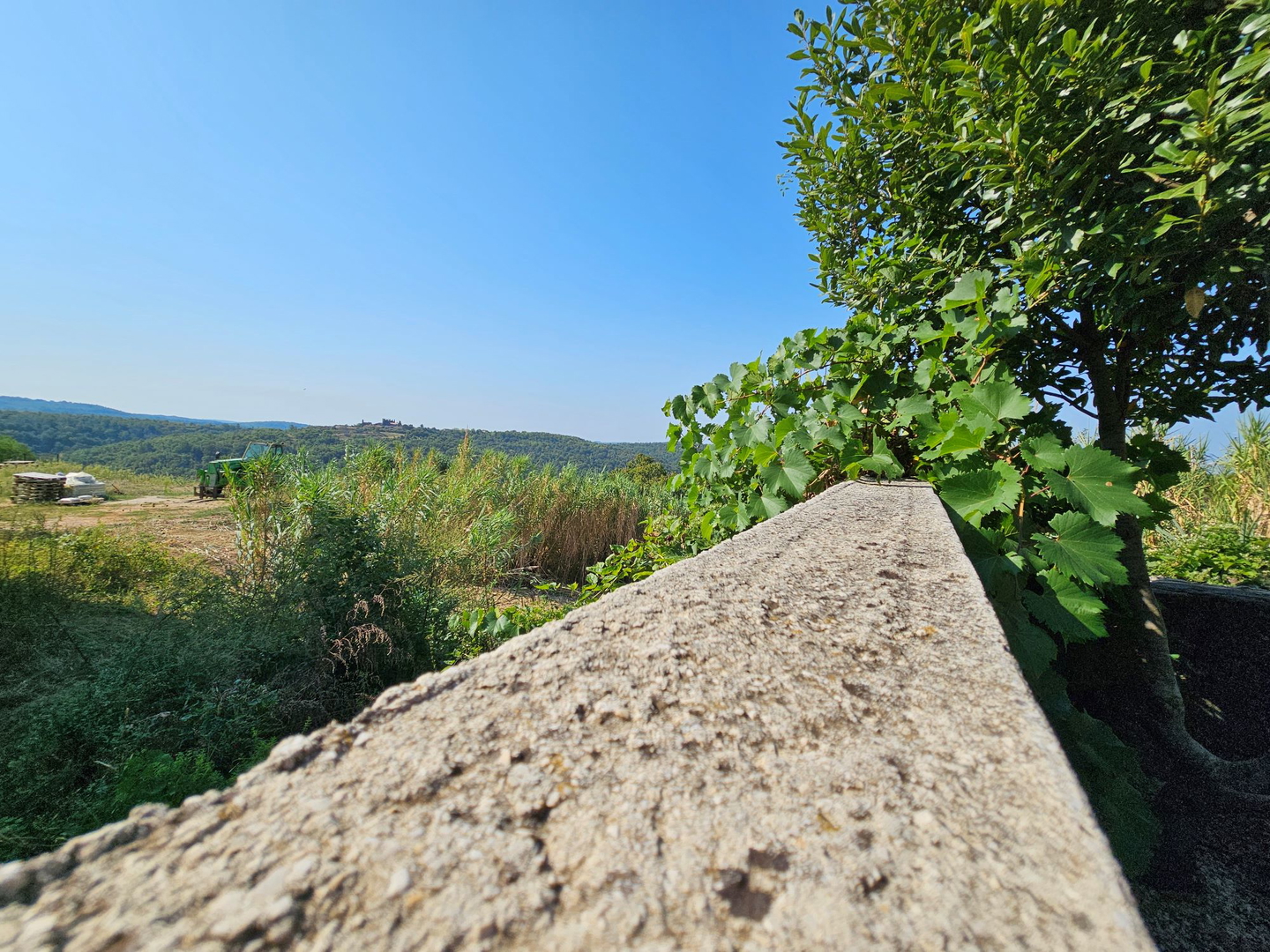 Simpatična kamena kuća u okolici Momjana s otvorenim pogledom