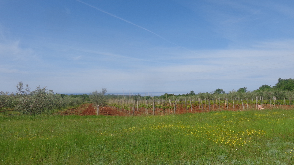 Big Agricultural land