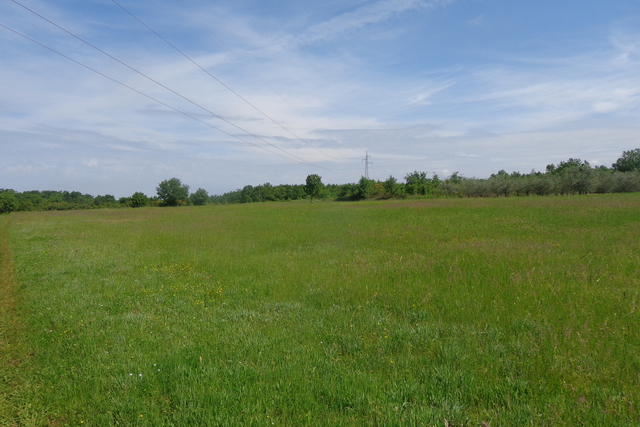 Big Agricultural land