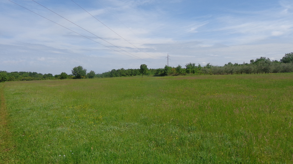 Big Agricultural land