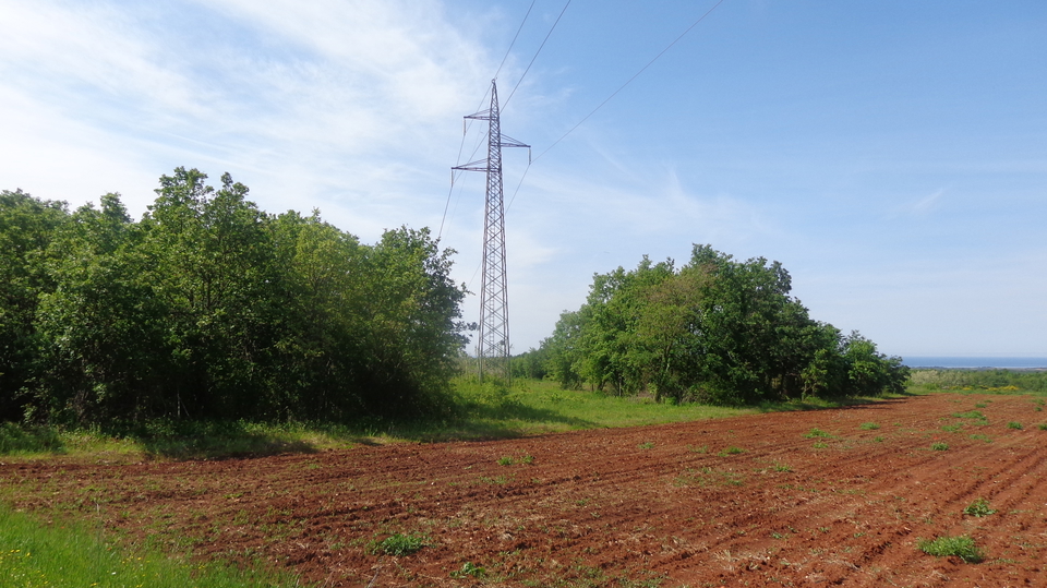 Big Agricultural land