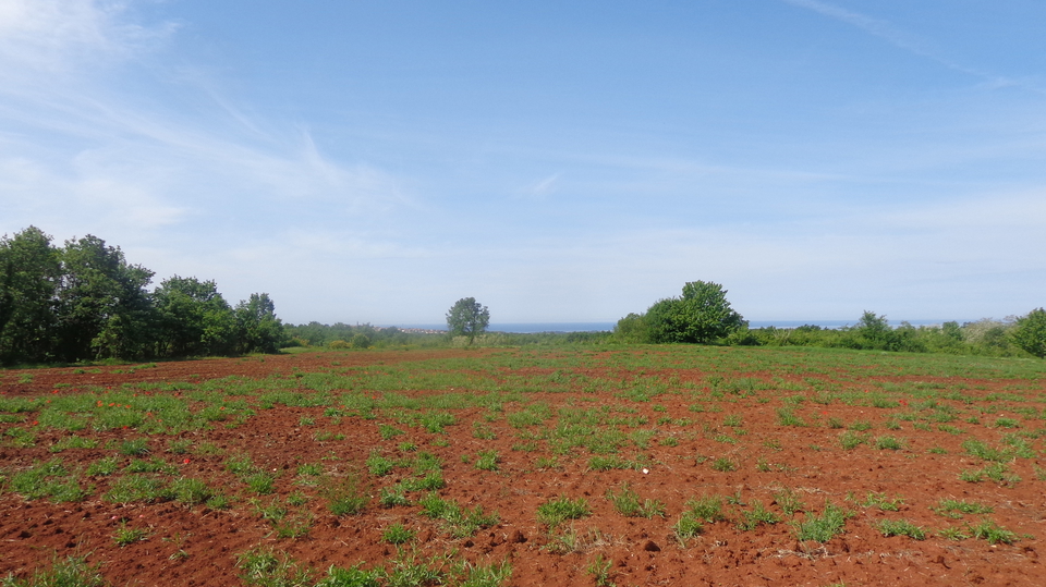 Big Agricultural land