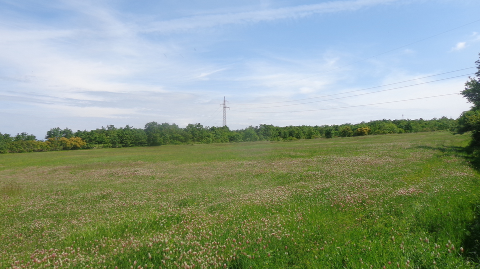 Big Agricultural land