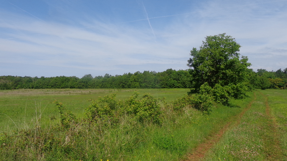 Big Agricultural land