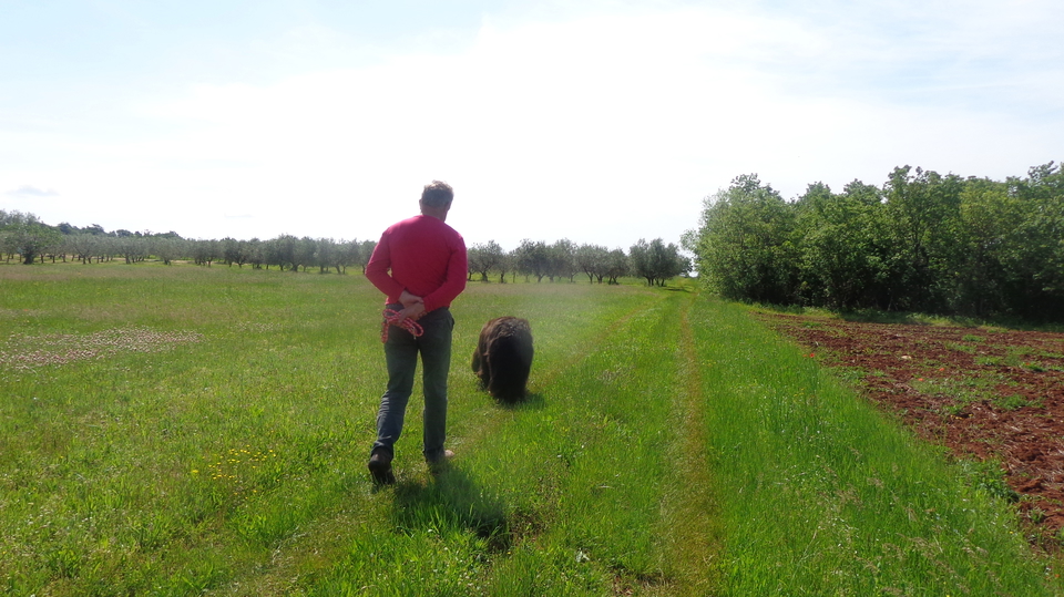 Big Agricultural land