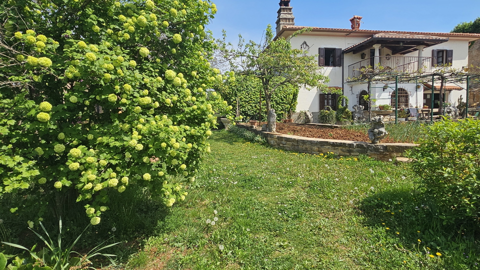 Steinhaus mit großem Garten in der Nähe von Buje in Istrien