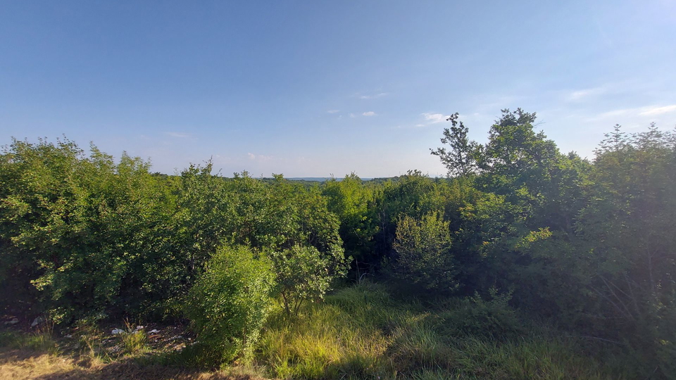 Tolle Gelegenheit, wir verkaufen den ganzen Hügel mit Blick auf das Meer und mit einem kleinen Stein  Haus in der Nähe von Rovinj