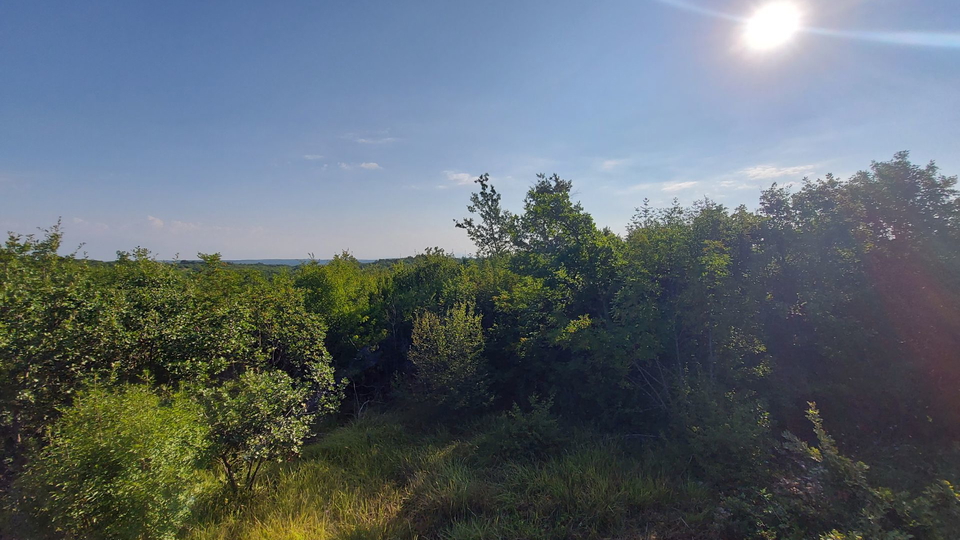 Grande opportunità, vendiamo l'intera collina con vista sul mare e con una piccola casa in pietra vicino a Rovigno