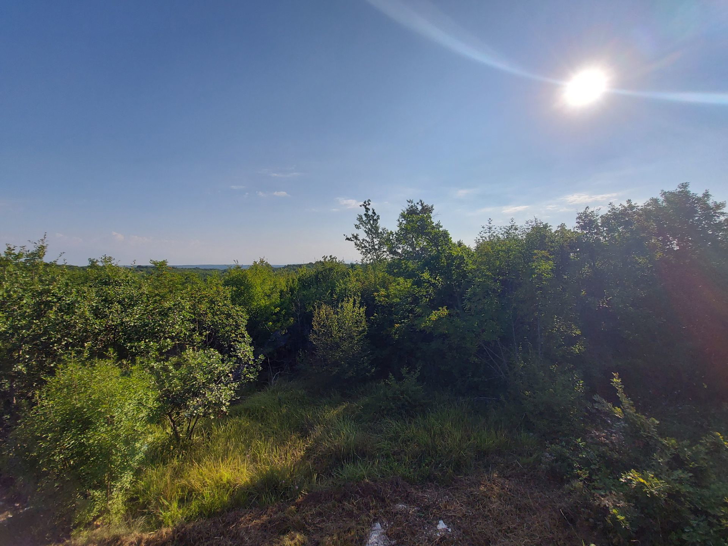 Odlična prilika ,prodajemo cijelo brdo s pogledom na more i s malom kamenom kućicom u blizini Rovinja