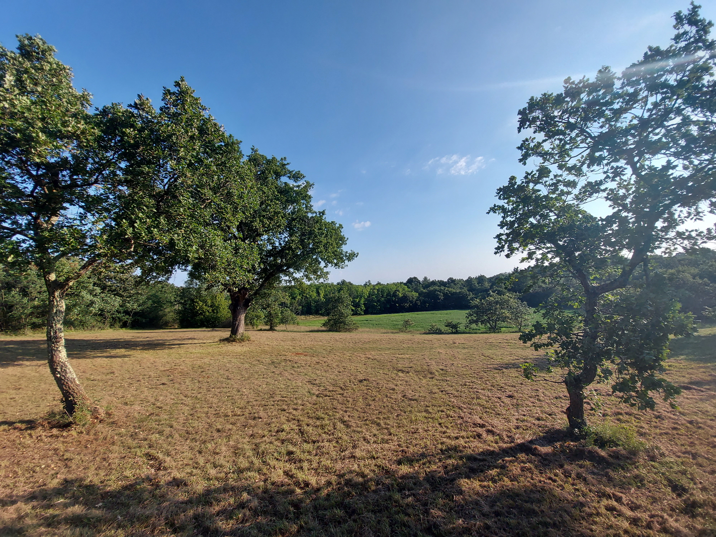 Odlična prilika ,prodajemo cijelo brdo s pogledom na more i s malom kamenom kućicom u blizini Rovinja