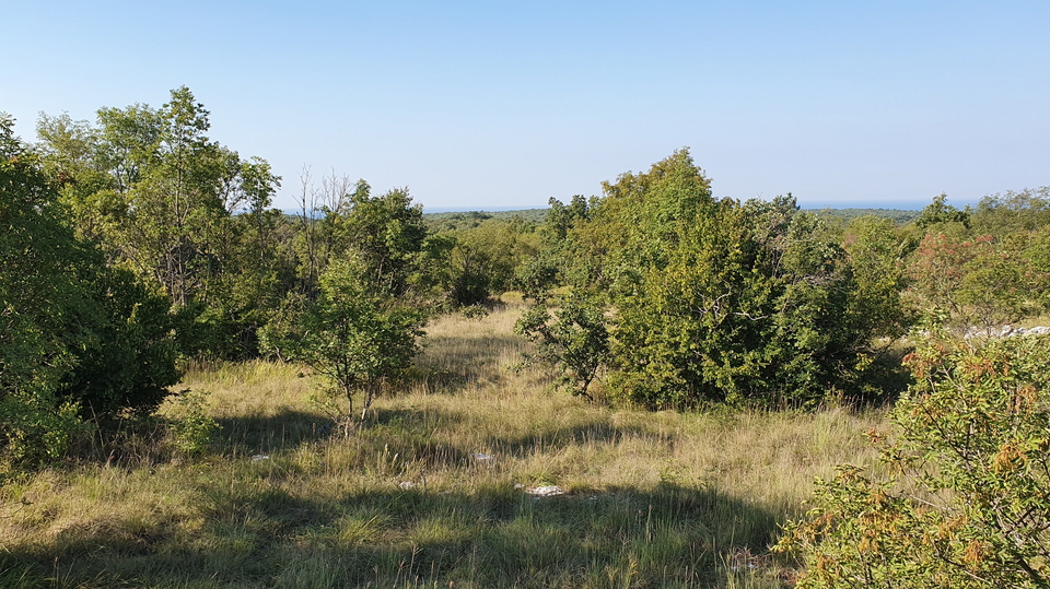 Grande opportunità, vendiamo l'intera collina con vista sul mare e con una piccola casa in pietra vicino a Rovigno