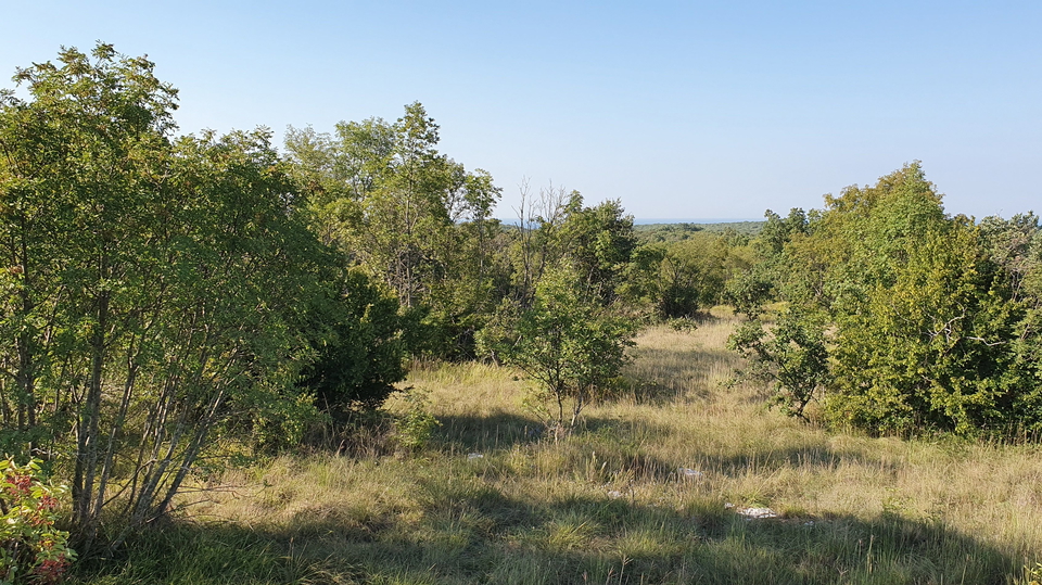 Grande opportunità, vendiamo l'intera collina con vista sul mare e con una piccola casa in pietra vicino a Rovigno