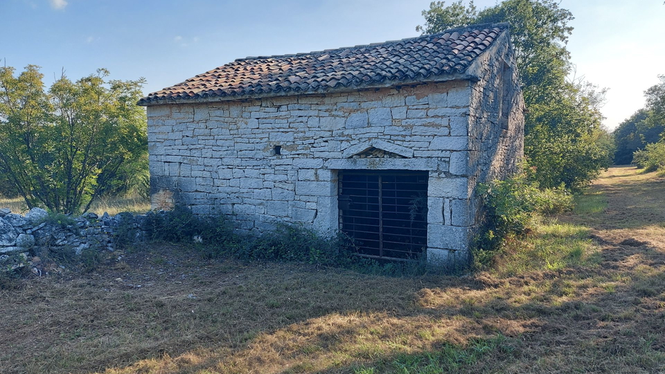 Grande opportunità, vendiamo l'intera collina con vista sul mare e con una piccola casa in pietra vicino a Rovigno