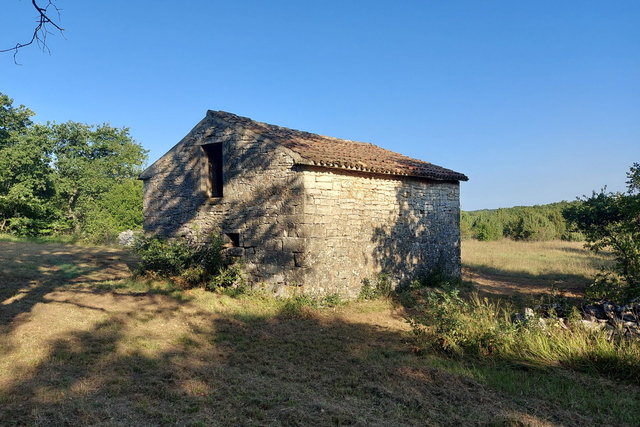 Grande opportunità, vendiamo l'intera collina con vista sul mare e con una piccola casa in pietra vicino a Rovigno