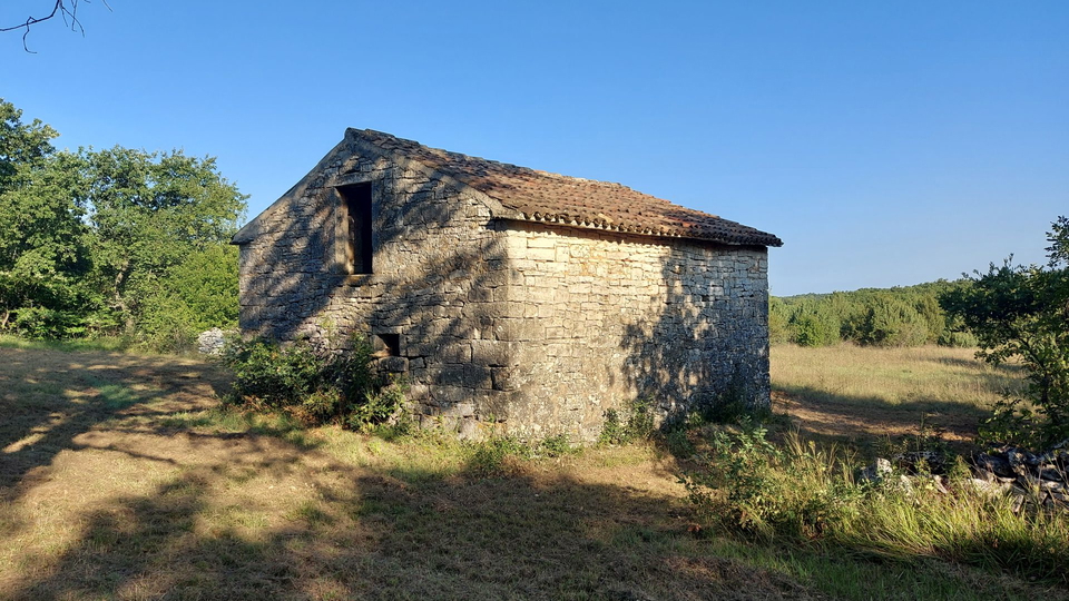 Tolle Gelegenheit, wir verkaufen den ganzen Hügel mit Blick auf das Meer und mit einem kleinen Stein  Haus in der Nähe von Rovinj